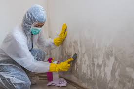 Best Real Estate Mold Inspection  in Gunter, TX